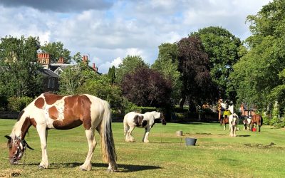 St Boswells Fair, July 2022