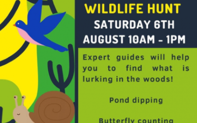 Family Wildlife Day, Community Woodland