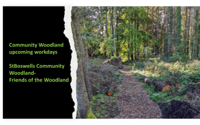 Reminder! 12th November, Community Woodland workday