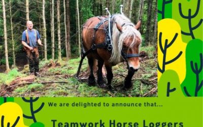 3rd December, Horse Logging Event: St Boswells Community Woodland